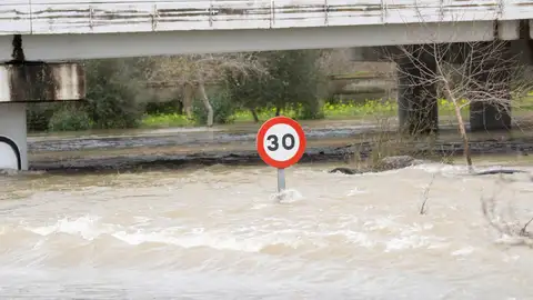 Zonas inundadas en la rivera del río Guadalete en Jerez de la Frontera (Cádiz). Zonas inundadas en la rivera del río Guadalete en Jerez de la Frontera (Cádiz).