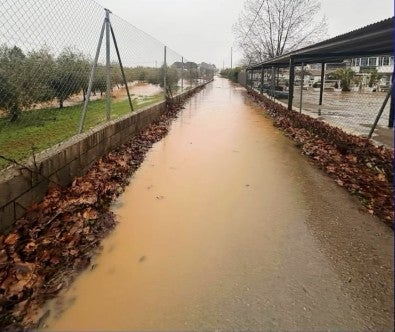 Mari Paz Fernández: "No hemos tenido incidencias graves gracias a la labor preventiva que se ha realizado" Mari Paz Fernández: "No hemos tenido incidencias graves gracias a la labor preventiva que se ha realizado"