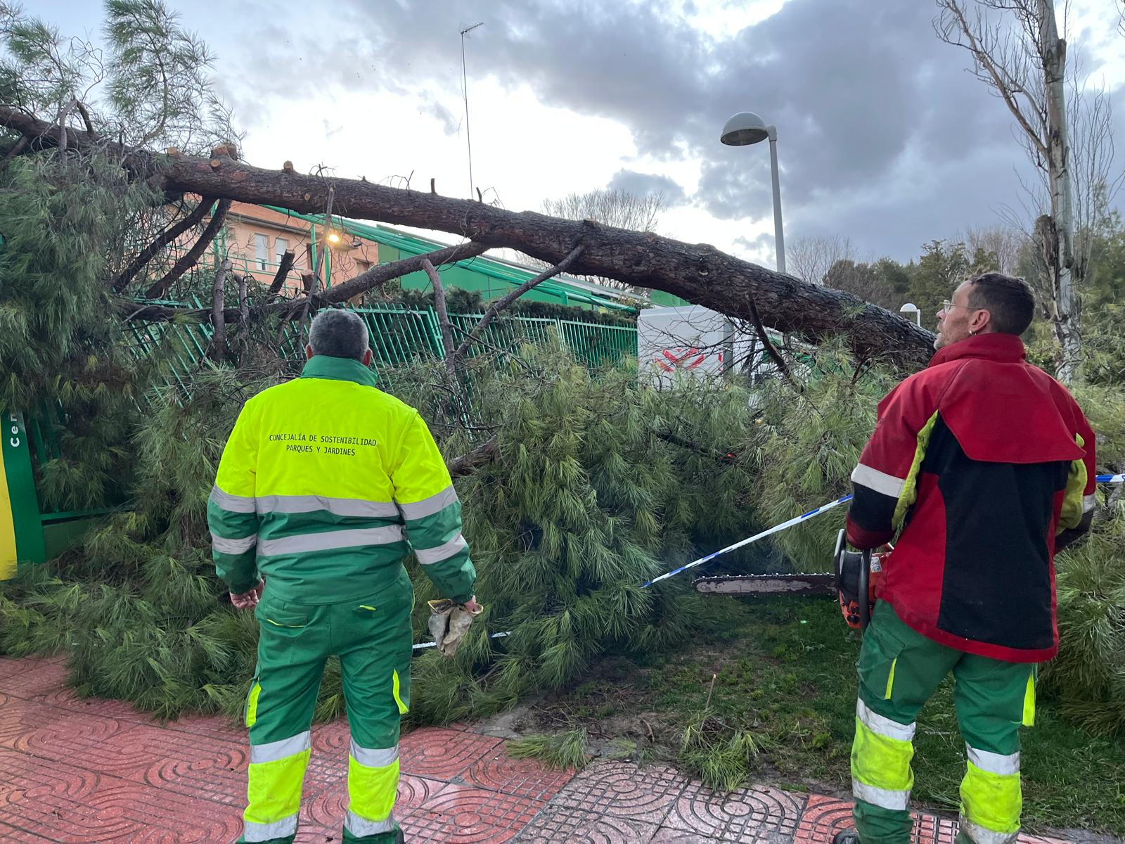 El fuerte viento deja 57 incidencias en Ciudad Real El fuerte viento deja 57 incidencias en Ciudad Real