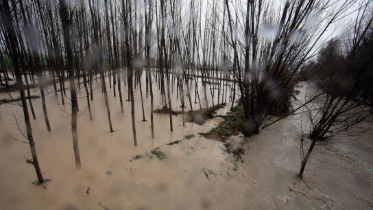 El cauce del río Genil desbordado en Fuentevaqueros