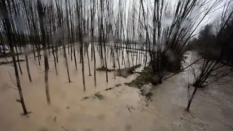 El cauce del río Genil desbordado en Fuentevaqueros El cauce del río Genil desbordado en Fuentevaqueros