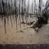 El cauce del río Genil desbordado en Fuentevaqueros