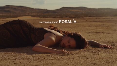 Rosal&iacute;a desvela el videoclip de 'Sauvignon Blanc'