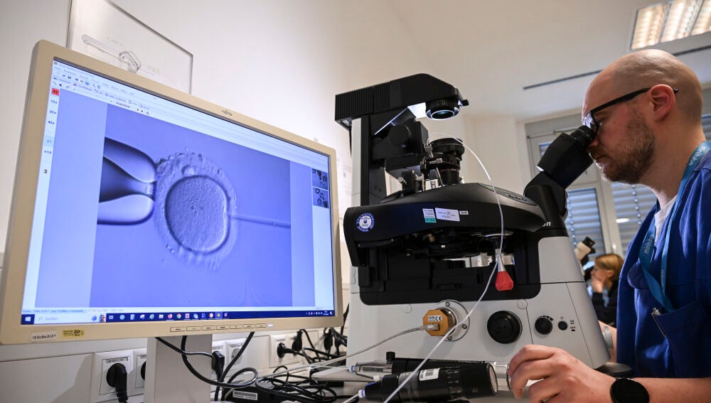 La tasa de nacimientos en Francia se situó en 1,56 hijos por mujer, marcando un mínimo histórico pero aún por encima de la media española.