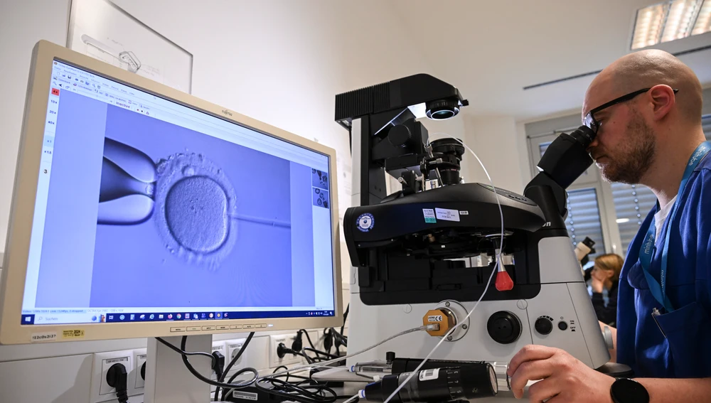 La tasa de nacimientos en Francia se situó en 1,56 hijos por mujer, marcando un mínimo histórico pero aún por encima de la media española. La tasa de nacimientos en Francia se situó en 1,56 hijos por mujer, marcando un mínimo histórico pero aún por encima de la media española.