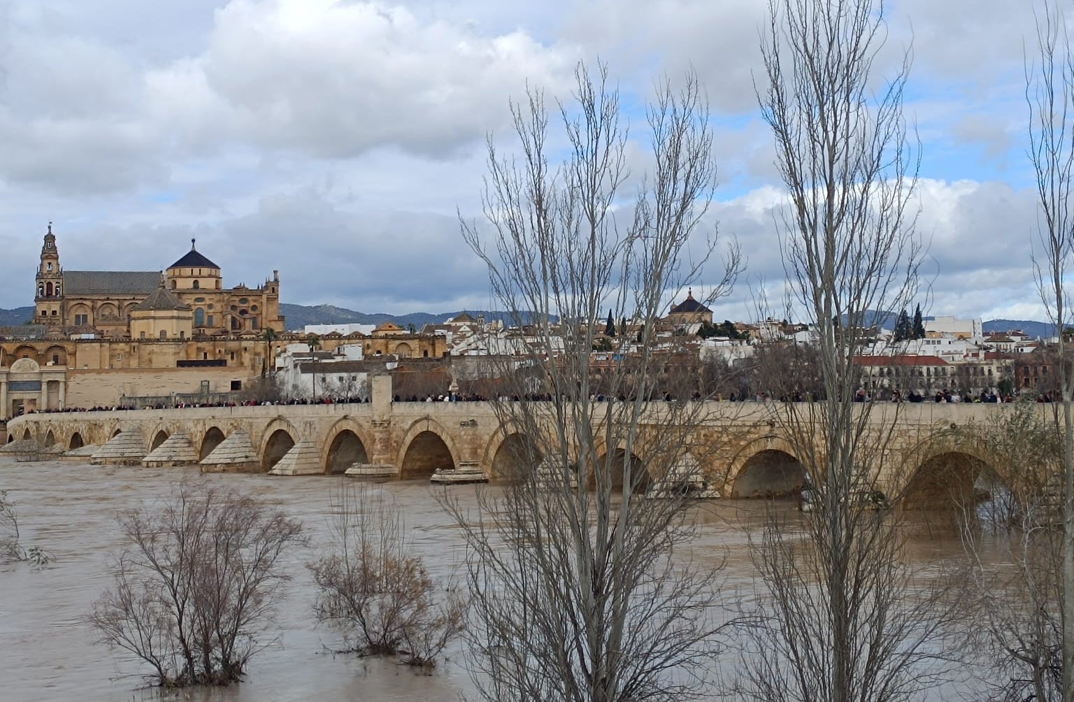 Un puente como definición de palimpsesto Un puente como definición de palimpsesto