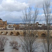 Puente Romano