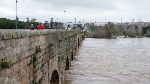 Puente Romano M&eacute;rida