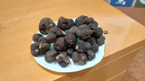 Trufa negra Trufa negra