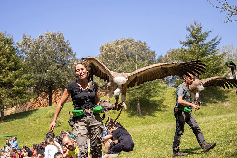 Cabárceno celebra la 'Semana sin cole' con acceso gratuito a menores de 12 años disfrazados Cabárceno celebra la 'Semana sin cole' con acceso gratuito a menores de 12 años disfrazados
