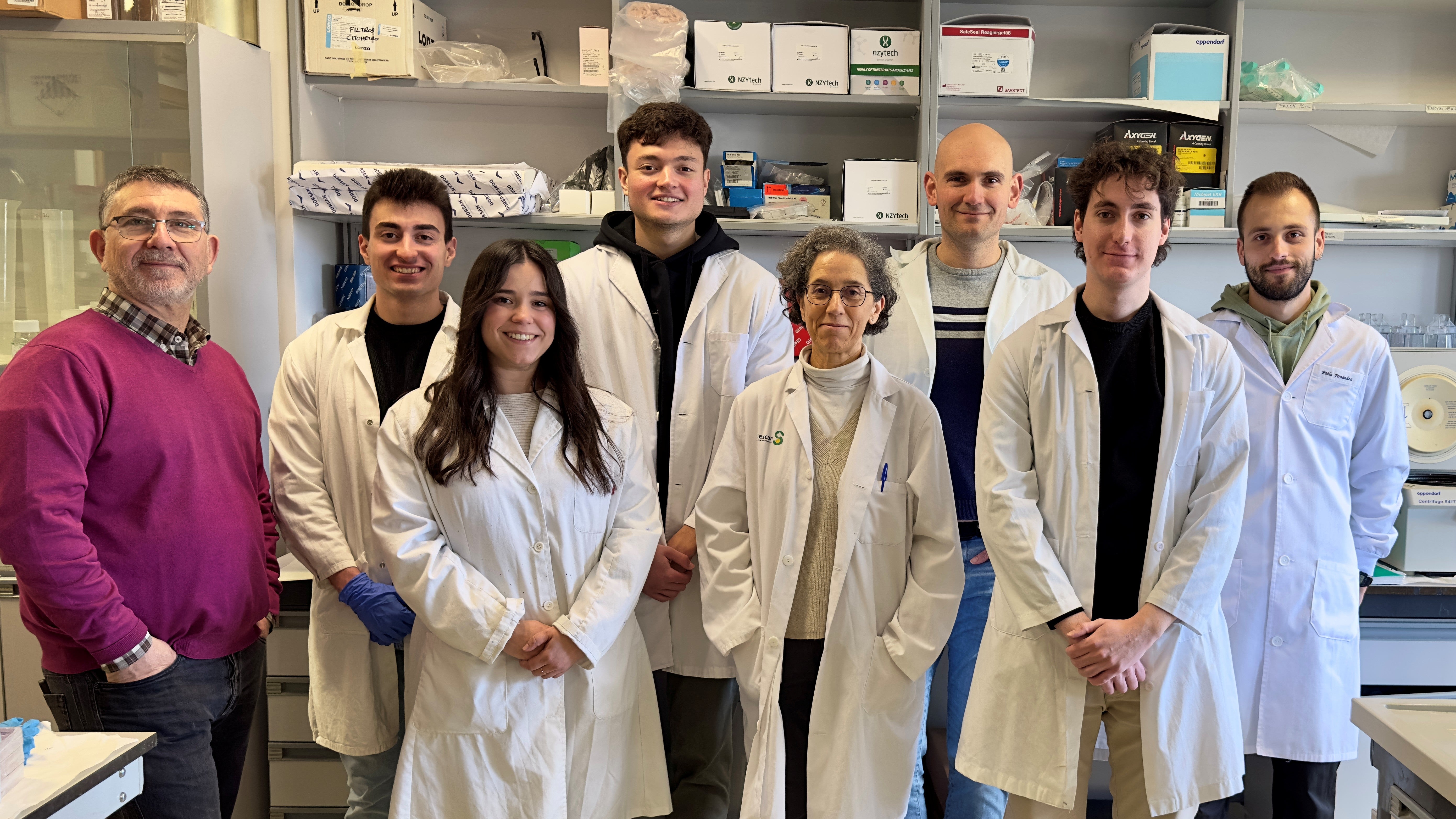 Un estudio liderado por la UCLM y el CSIC identifica dos proteínas clave en el desarrollo de los sarcomas Un estudio liderado por la UCLM y el CSIC identifica dos proteínas clave en el desarrollo de los sarcomas