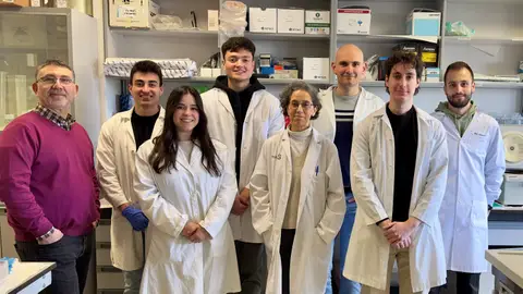 Un estudio liderado por la UCLM y el CSIC identifica dos proteínas clave en el desarrollo de los sarcomas Un estudio liderado por la UCLM y el CSIC identifica dos proteínas clave en el desarrollo de los sarcomas