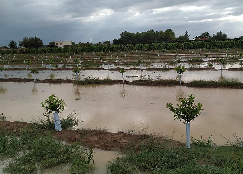 El Gobierno abre la vía para que los extremeños damnificados por las borrascas de los últimos tres meses soliciten ayudas El Gobierno abre la vía para que los extremeños damnificados por las borrascas de los últimos tres meses soliciten ayudas
