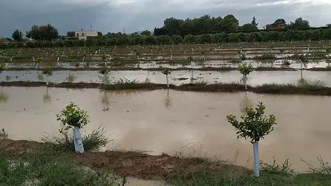 El Gobierno abre la vía para que los extremeños damnificados por las borrascas de los últimos tres meses soliciten ayudas El Gobierno abre la vía para que los extremeños damnificados por las borrascas de los últimos tres meses soliciten ayudas