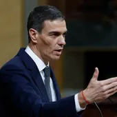 Pedro Sánchez en el Congreso de los Diputados Pedro Sánchez en el Congreso de los Diputados