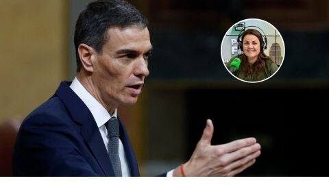 EL presidente del Gobierno, Pedro Sánchez, durante la sesión de control EL presidente del Gobierno, Pedro Sánchez, durante la sesión de control