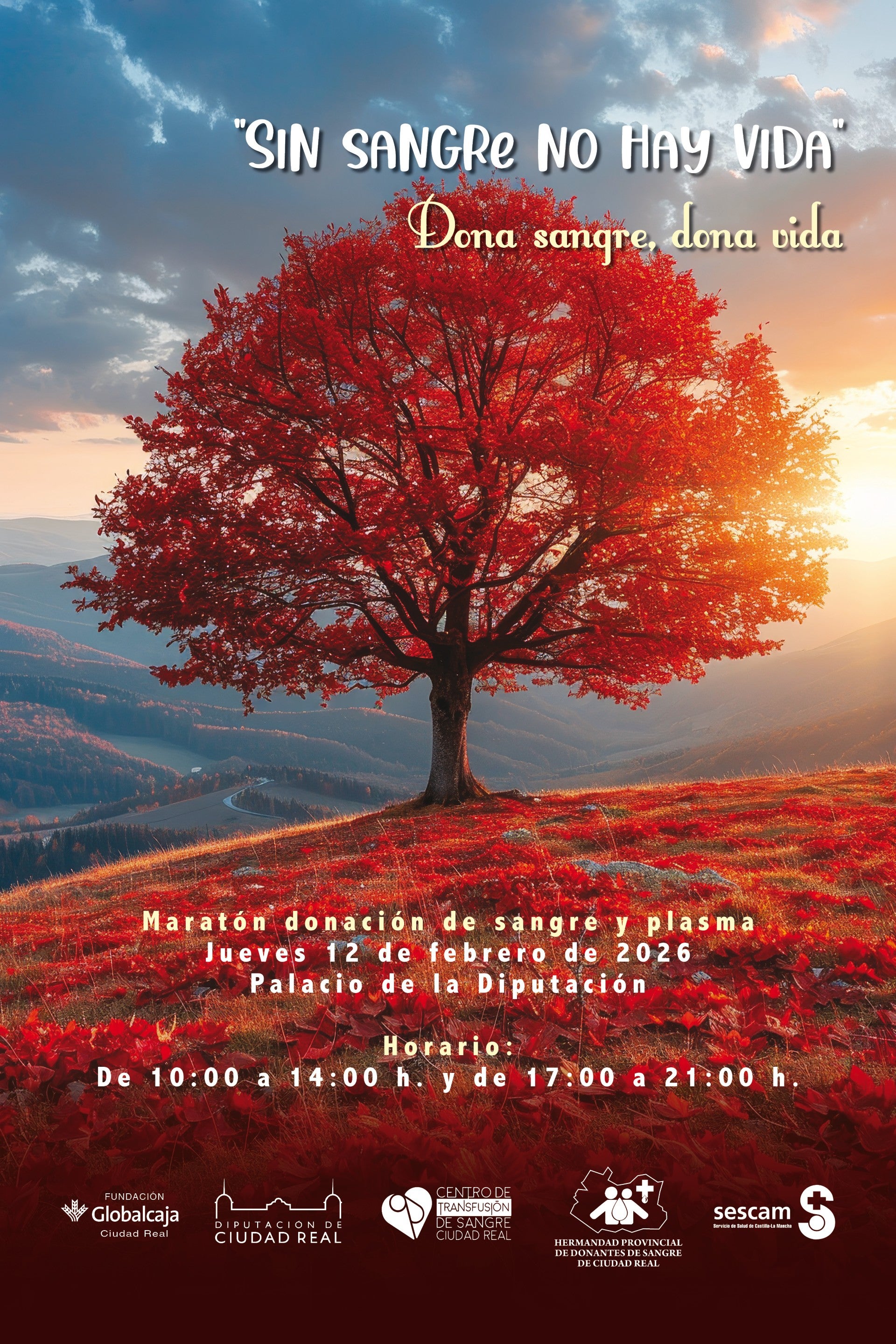 Más de 25.000 donantes de sangre atendidos el pasado año en Ciudad Real Más de 25.000 donantes de sangre atendidos el pasado año en Ciudad Real