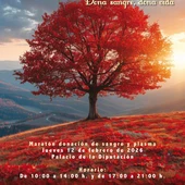 Maratón de sangre el jueves en la Diputación de Ciudad Real Maratón de sangre el jueves en la Diputación de Ciudad Real
