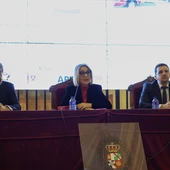 Inés Cañizares, vicealcaldesa de Toledo. Inés Cañizares, vicealcaldesa de Toledo.