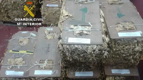 Tres detenidos y cinco investigados por el robo de más de 7.600 kilos de hoja de tabaco en Campo Arañuelo Tres detenidos y cinco investigados por el robo de más de 7.600 kilos de hoja de tabaco en Campo Arañuelo