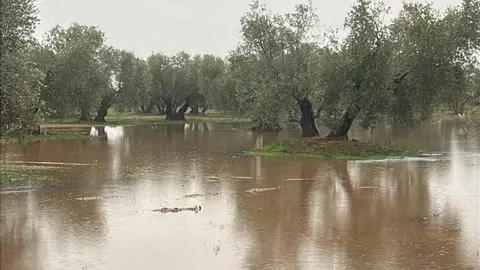Daños en Malagón Daños en Malagón