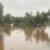 Daños en Malagón