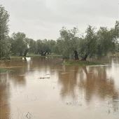 Daños en Malagón Daños en Malagón