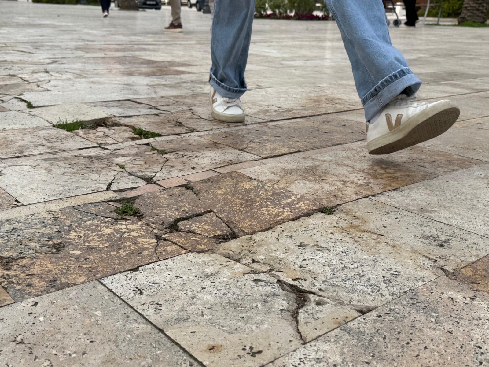 El PSOE de Elche pide actuar en la acera del Paseo de la Estación ante el “peligro diario” en la entrada del centro para mayores El PSOE de Elche pide actuar en la acera del Paseo de la Estación ante el “peligro diario” en la entrada del centro para mayores