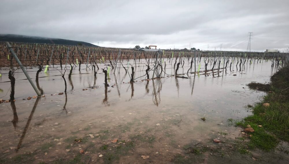 Daños en Valdepeñas