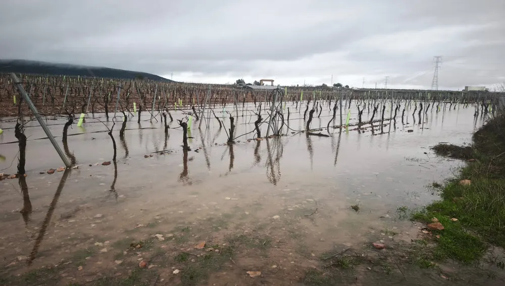 Daños en Valdepeñas Daños en Valdepeñas