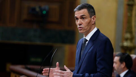 El presidente del Gobierno, Pedro S&aacute;nchez, durante su comparecencia ante el pleno del Congreso
