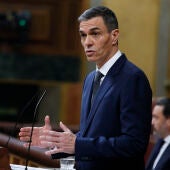 El presidente del Gobierno, Pedro Sánchez, durante su comparecencia ante el pleno del Congreso