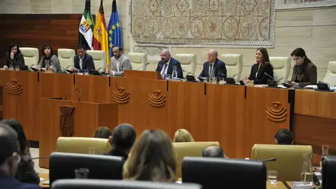 Este jueves pleno en la Asamblea de Extremadura, pleno de trámite para designar a los senadores autonómicos Este jueves pleno en la Asamblea de Extremadura, pleno de trámite para designar a los senadores autonómicos