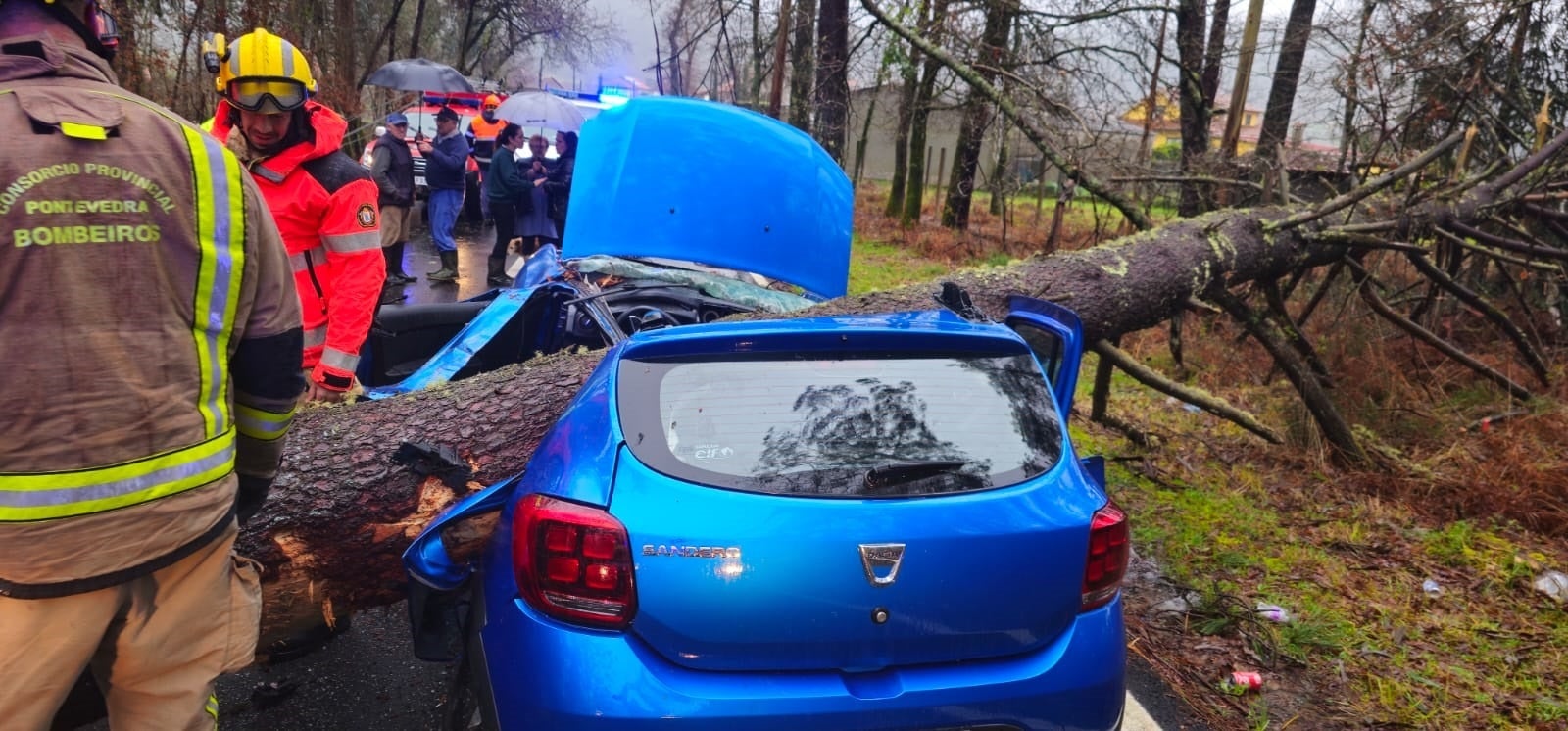 Así ha quedado el coche de la joven tras ser aplastado por un árbol Así ha quedado el coche de la joven tras ser aplastado por un árbol