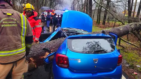 Así ha quedado el coche de la joven tras ser aplastado por un árbol Así ha quedado el coche de la joven tras ser aplastado por un árbol