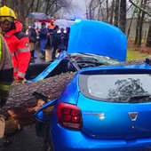 Así ha quedado el coche de la joven tras ser aplastado por un árbol Así ha quedado el coche de la joven tras ser aplastado por un árbol