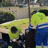 Benidorm instala alrededor de 120 papeleras en los parques y zonas verdes de la ciudad Benidorm instala alrededor de 120 papeleras en los parques y zonas verdes de la ciudad