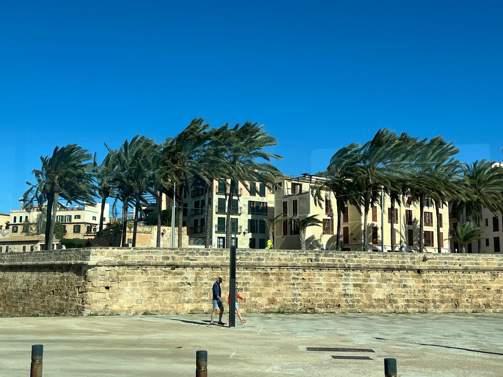 Emergencias gestiona 150 incidentes por los fuertes vientos en Baleares Emergencias gestiona 150 incidentes por los fuertes vientos en Baleares