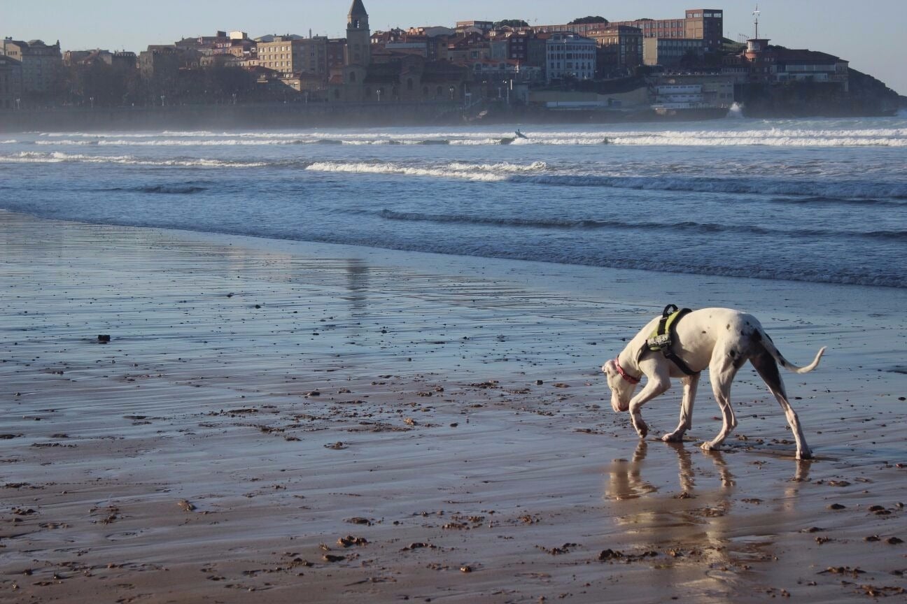 Más de Uno Gijón 13/02/2026 Más de Uno Gijón 13/02/2026