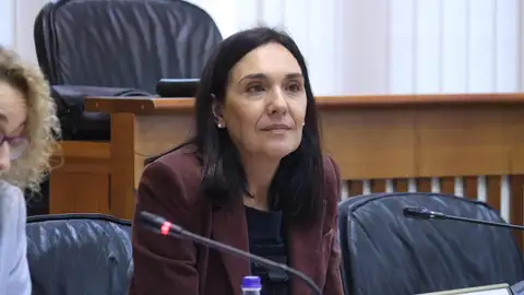 O Psoe esíxelle a Xunta "feitos" para a reforma do CEIP Manuel Luis Acuña O Psoe esíxelle a Xunta "feitos" para a reforma do CEIP Manuel Luis Acuña