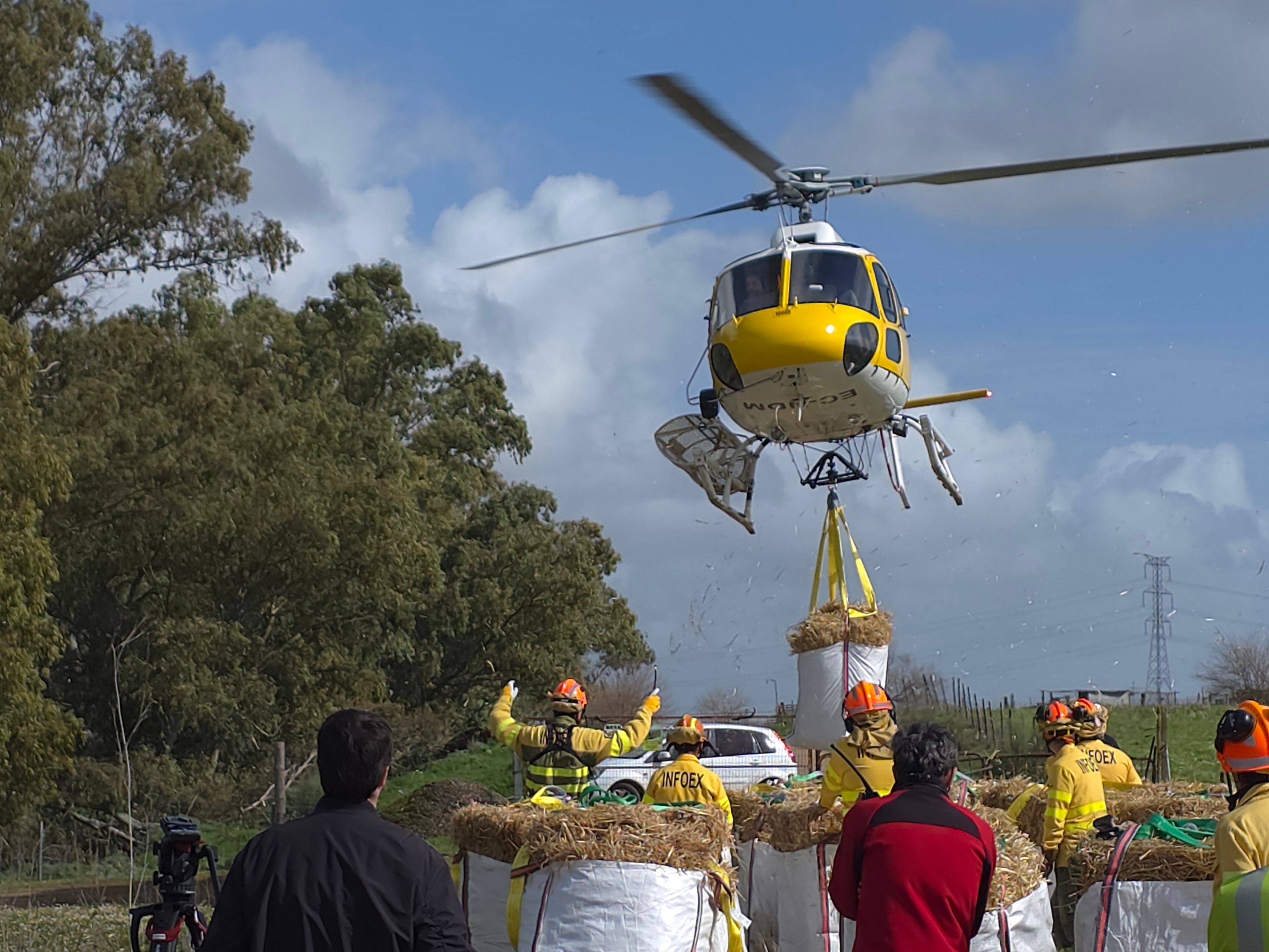 La Junta organiza un dispositivo para llevar alimento en helicóptero a 480 ovejas aisladas por las lluvias desde hace una semana La Junta organiza un dispositivo para llevar alimento en helicóptero a 480 ovejas aisladas por las lluvias desde hace una semana