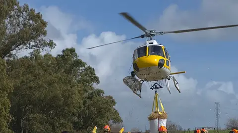 La Junta organiza un dispositivo para llevar alimento en helicóptero a 480 ovejas aisladas por las lluvias desde hace una semana La Junta organiza un dispositivo para llevar alimento en helicóptero a 480 ovejas aisladas por las lluvias desde hace una semana