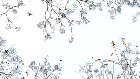 Blanco y Púrpura, ganadora absoluta de la XXVI Edición ‘Espacios Naturales de la Provincia de Almería’ ONDA CERO ALMERIA