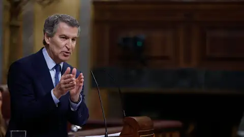El presidente del PP, Alberto Núñez Feijóo, en el último pleno del Congreso El presidente del PP, Alberto Núñez Feijóo, en el último pleno del Congreso
