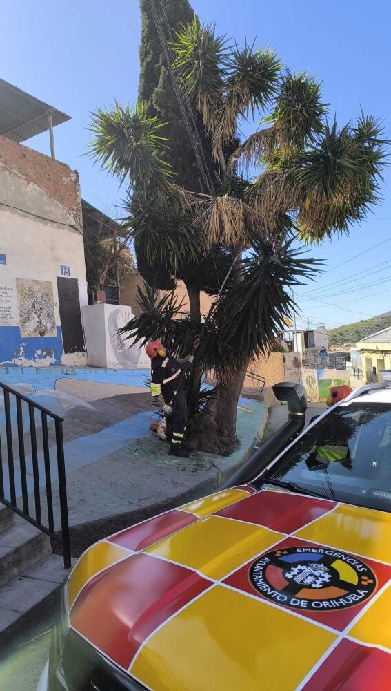 Orihuela mantiene activo el dispositivo municipal ante la alerta por viento y suspende las actividades al aire libre en todo el municipio