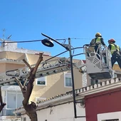 Orihuela mantiene activo el dispositivo municipal ante la alerta por viento y suspende las actividades al aire libre en todo el municipio Orihuela mantiene activo el dispositivo municipal ante la alerta por viento y suspende las actividades al aire libre en todo el municipio