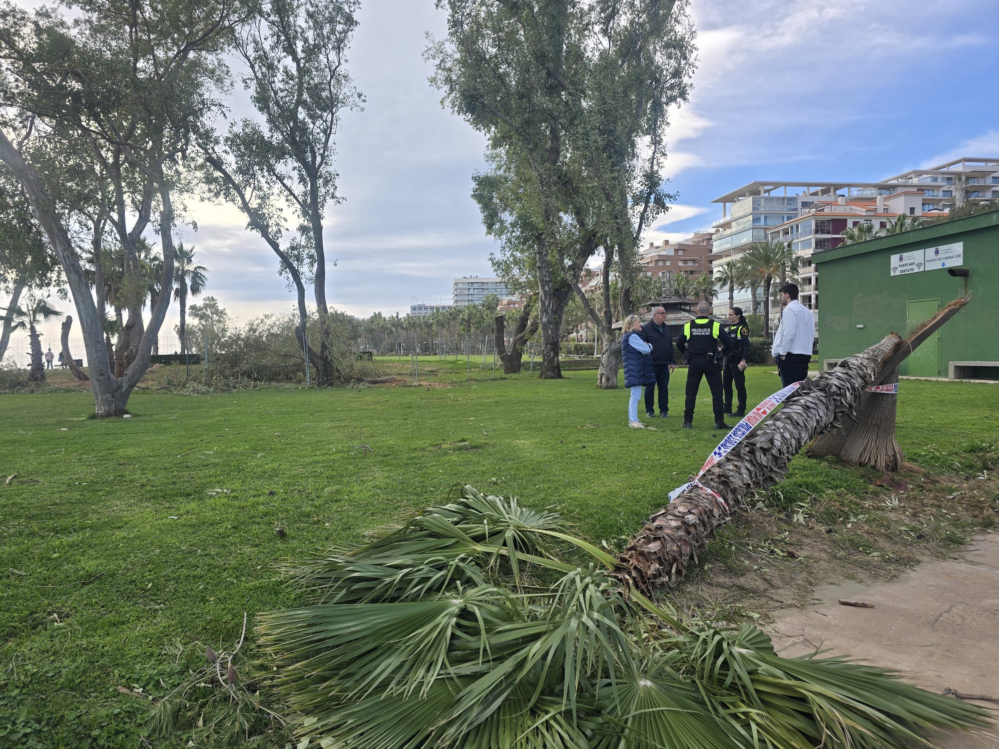 El Ayuntamiento de Oropesa evalúa los daños causados por el fuerte viento en el municipio El Ayuntamiento de Oropesa evalúa los daños causados por el fuerte viento en el municipio