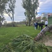 El alcalde de Oropesa, Rafael Albert, ha supervisado los daños provocados por el temporal Oriana en el municipio. 