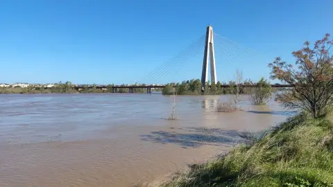 El caudal del río Guadiana en Badajoz alcanza los 2.050 metros cúbicos por segundo El caudal del río Guadiana en Badajoz alcanza los 2.050 metros cúbicos por segundo