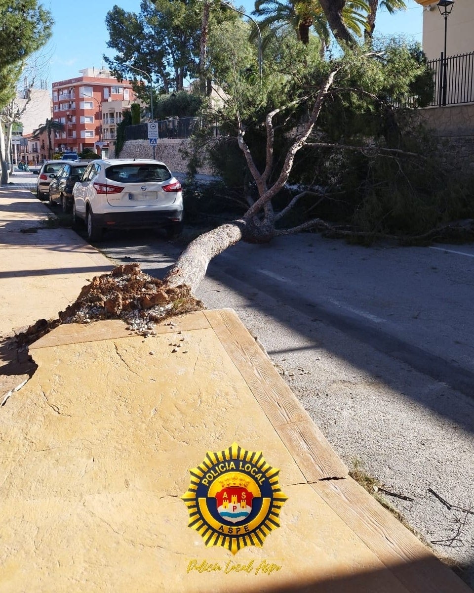 El viento provoca unas 200 incidencias atendidas en Elche durante el fin de semana El viento provoca unas 200 incidencias atendidas en Elche durante el fin de semana